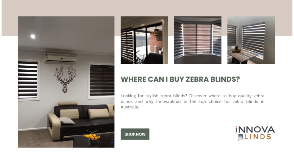 Where Can Buy Zebra Blinds?